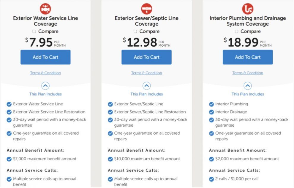 Three pricing options